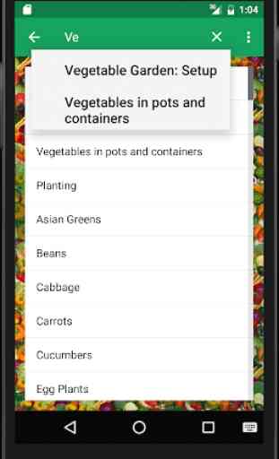 Vegetable Gardening 3