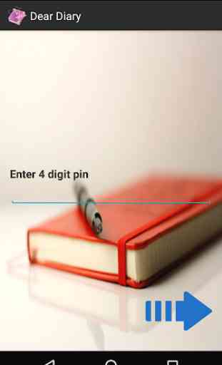 Dear Diary - Pin Protected 3