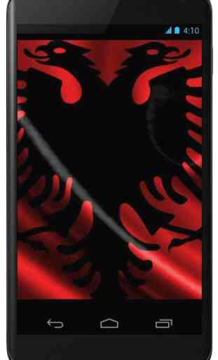 Flag of Albania 4