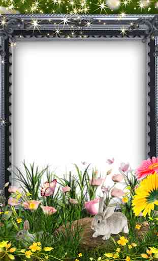 Flower Photo Frames, Lovely Flower Frame 3