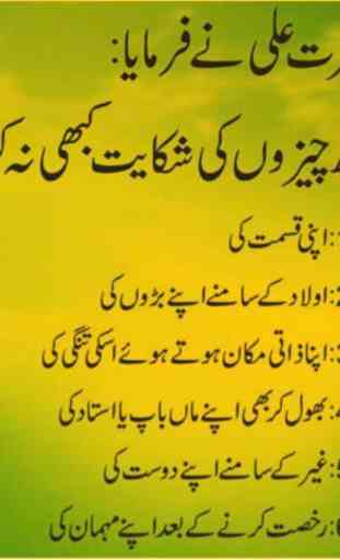 Hazrat Ali Kay 100 Waqiat 3