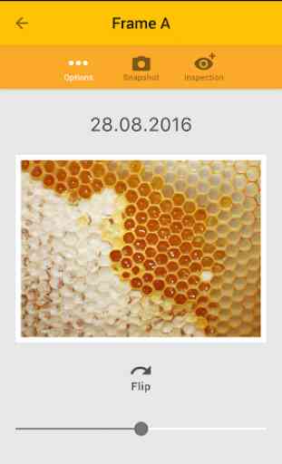 HiveKeepers for Beekeepers 4