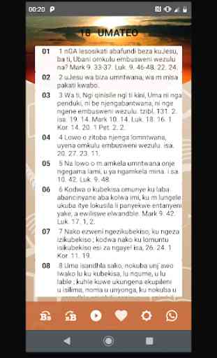Holy Bible in Africa in Zulu (IBhayibheli) 4