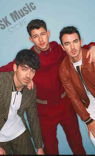 Jonas Brothers - Best Offline Music 4