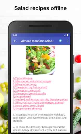 Salad recipes for free app offline with photo 3