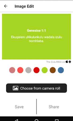 The Zulu Bible 4