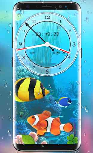 aquário peixe viver papel de parede2019: koi peix 2