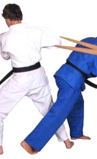 Best Judo Technique 1