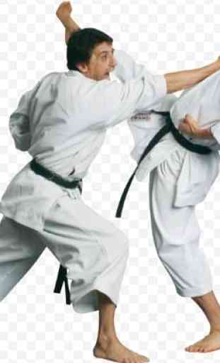 Best Judo Technique 2