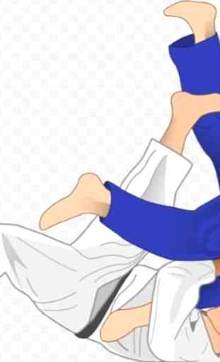 Best Judo Technique 4