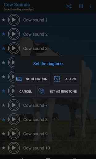Cow Sounds ~ Sboard.pro 3