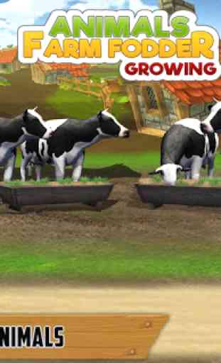 Cultivo de forragem de fazenda de animais 1