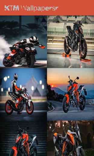 Wallpapers for KTM 2019 3