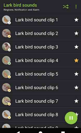 Appp.io - sons Lark bird 2