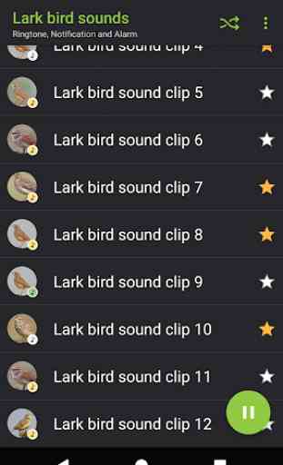 Appp.io - sons Lark bird 3