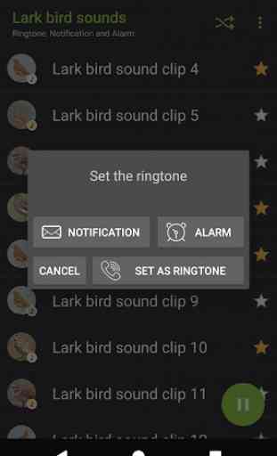 Appp.io - sons Lark bird 4