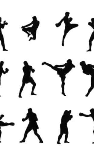 Aprenda técnicas de Muay Thai 2