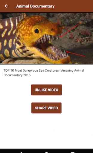 Documentário de animais online  2