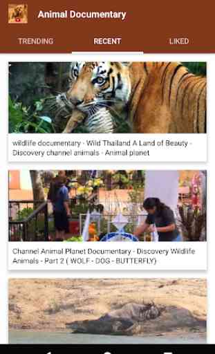 Documentário de animais online  4