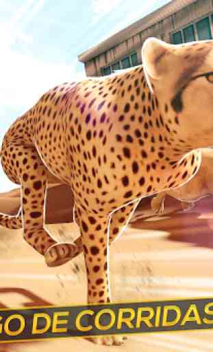 Leopardo vs Clã dos Leões! Corrida Selvagem 1