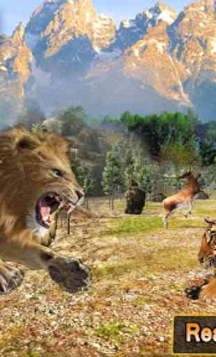 Lion vs tigre 2 aventura selvagem 1