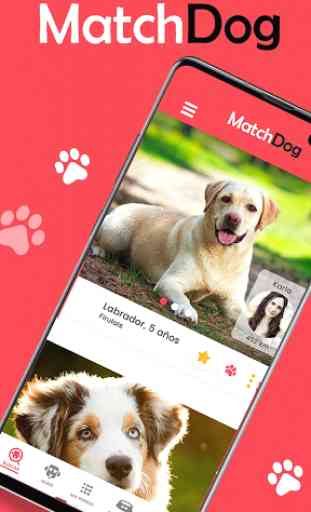 MatchDog - Comunidad de perros 1