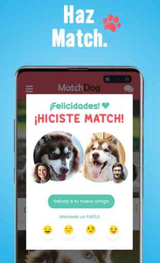 MatchDog - Comunidad de perros 4