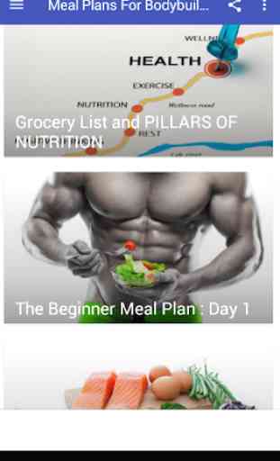 Meal Plans For Bodybuilders 3