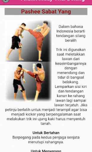 Muay Thai Boxing 4