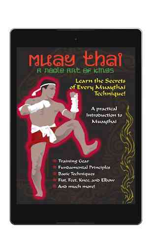 Treinamento de técnicas de Muay thai 2