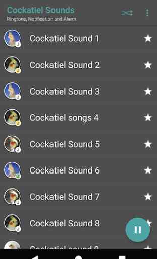 Appp.io - Sounds Cockatiel 2