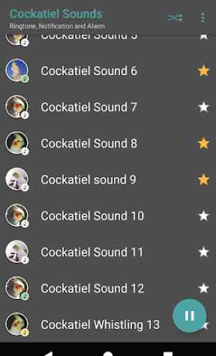 Appp.io - Sounds Cockatiel 3