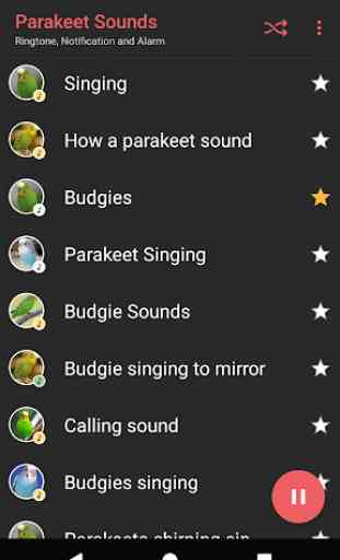 Appp.io - Sounds Parakeet 2