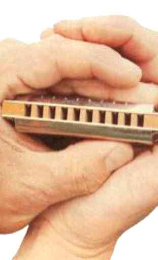 Harmonica lessons  (Guide) 1