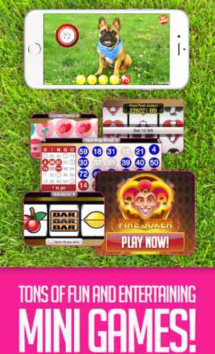Boom Bingo - Play LIVE BINGO & SLOTS for FREE 3