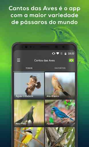 Todos Cantos Pássaros Brasil - Canto de Pássaros 1