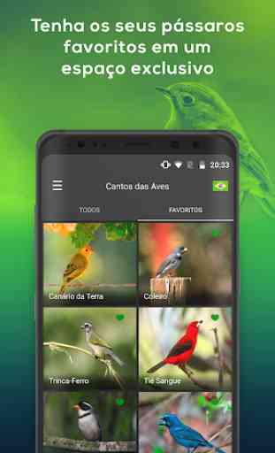 Todos Cantos Pássaros Brasil - Canto de Pássaros 3