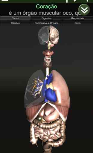 3D Órgão (anatomia) 1