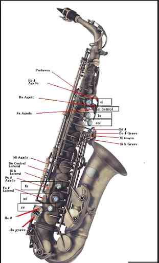 Aprenda a tocar saxofone. Cursos de saxofone alto 2