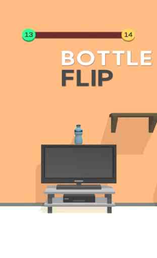 Great Flip The Bottle 4