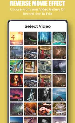 Reverse Video Editor And Effect 2