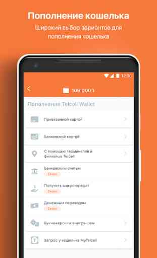 Telcell Wallet 3