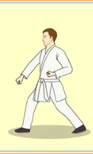 Aprenda Taekwondo 2