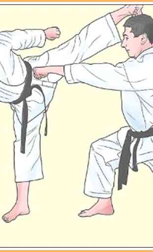 Aprenda Taekwondo 3