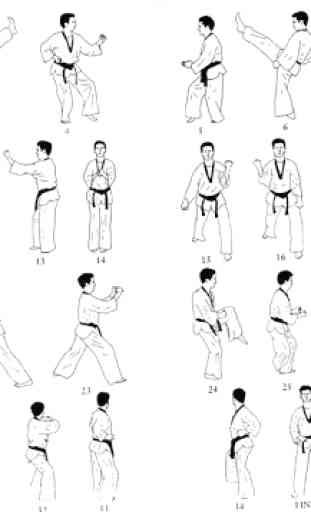 Aprenda Técnicas de Taekwondo 3