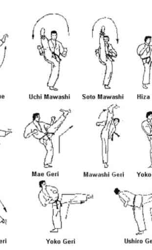 Aprendizagem do Movimento Básico de Taekwondo 2