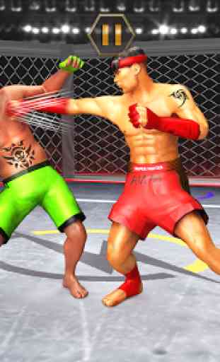 Karatê Combate Kung Fu Lutador Tigre MMA Combate 1