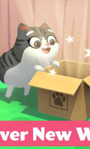 Kitty in the Box 2 1