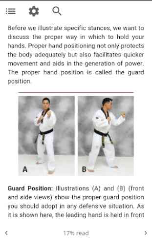 Taekwondo Guide 2