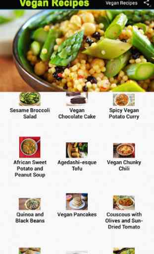 40+ Vegan Recipes & Meals 1